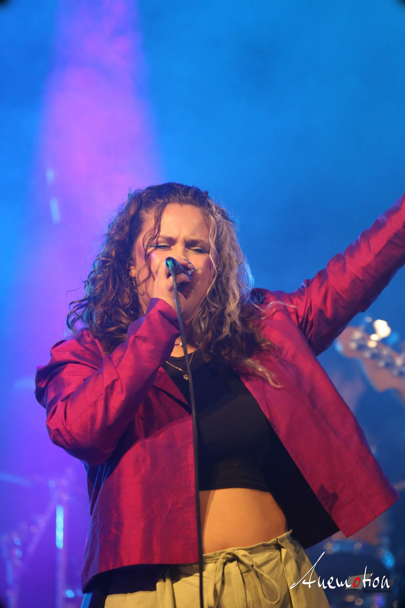 ElephantsFalling (48)